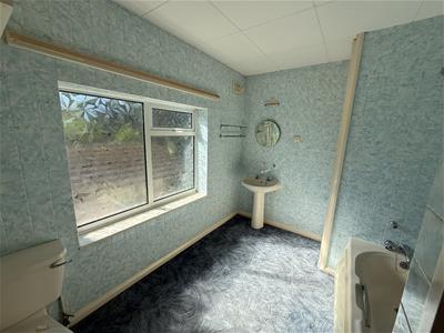 Picture 11